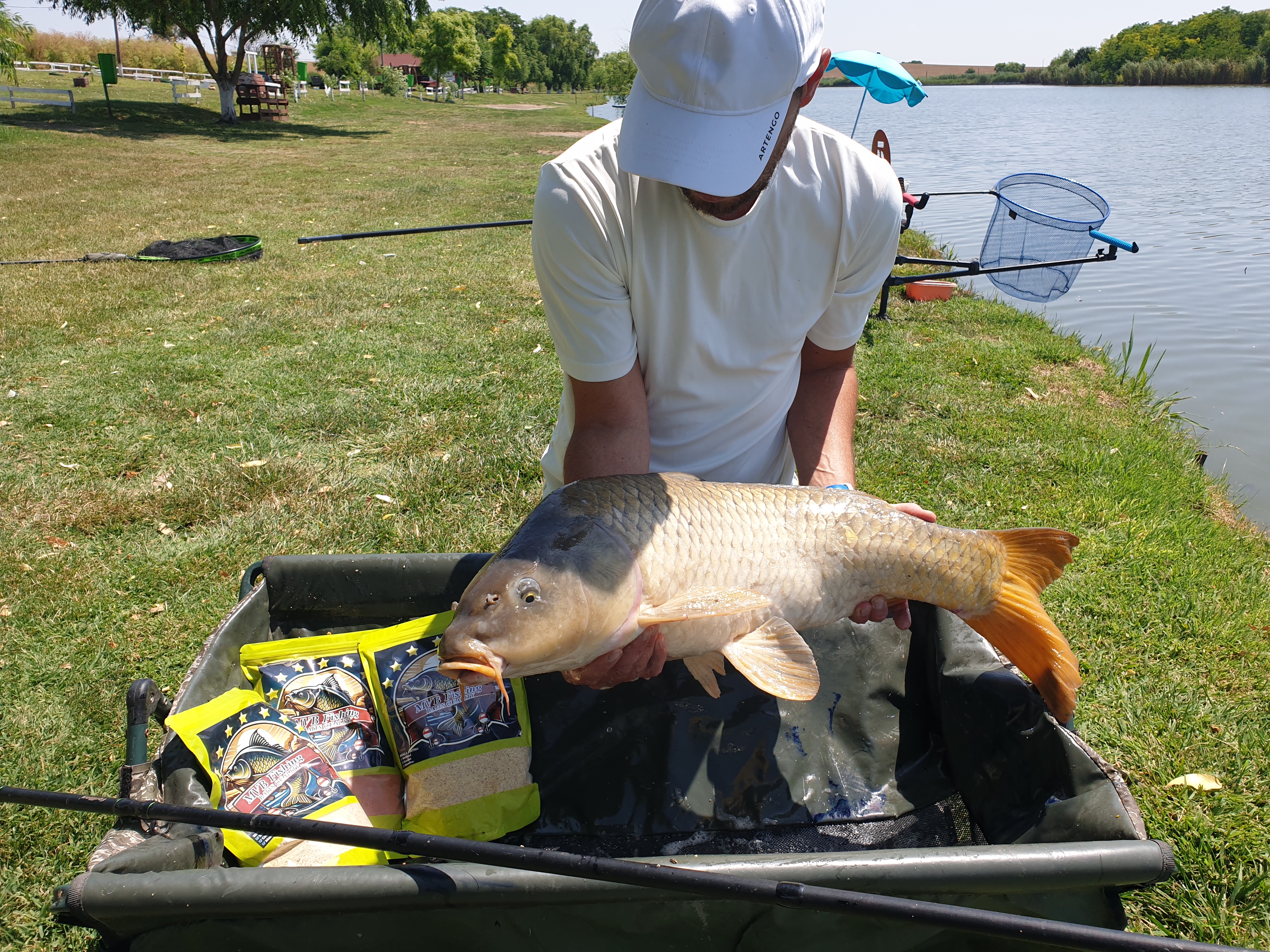 Fish Meal 4 Season