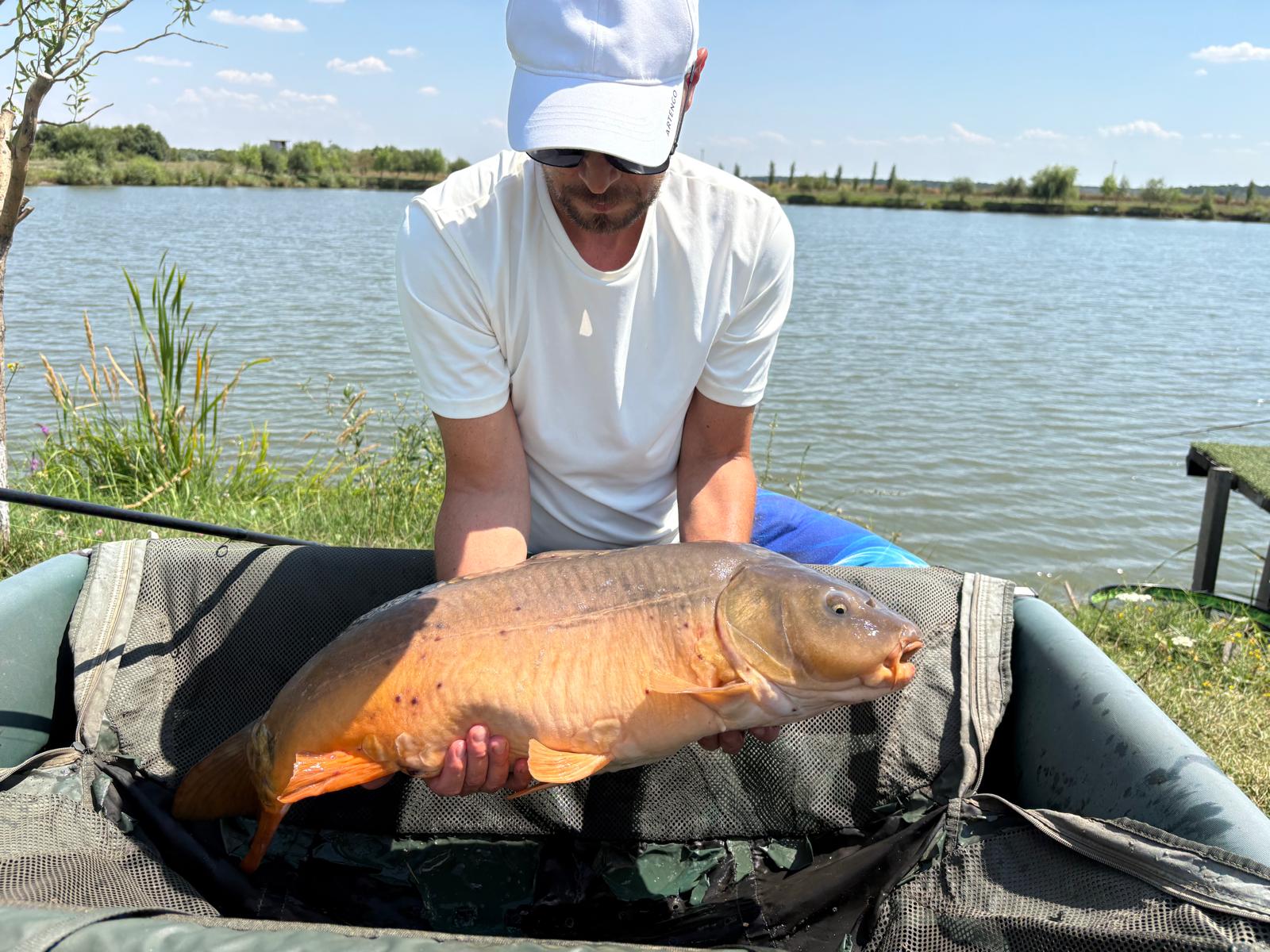 Pescuit cu Fish Meal