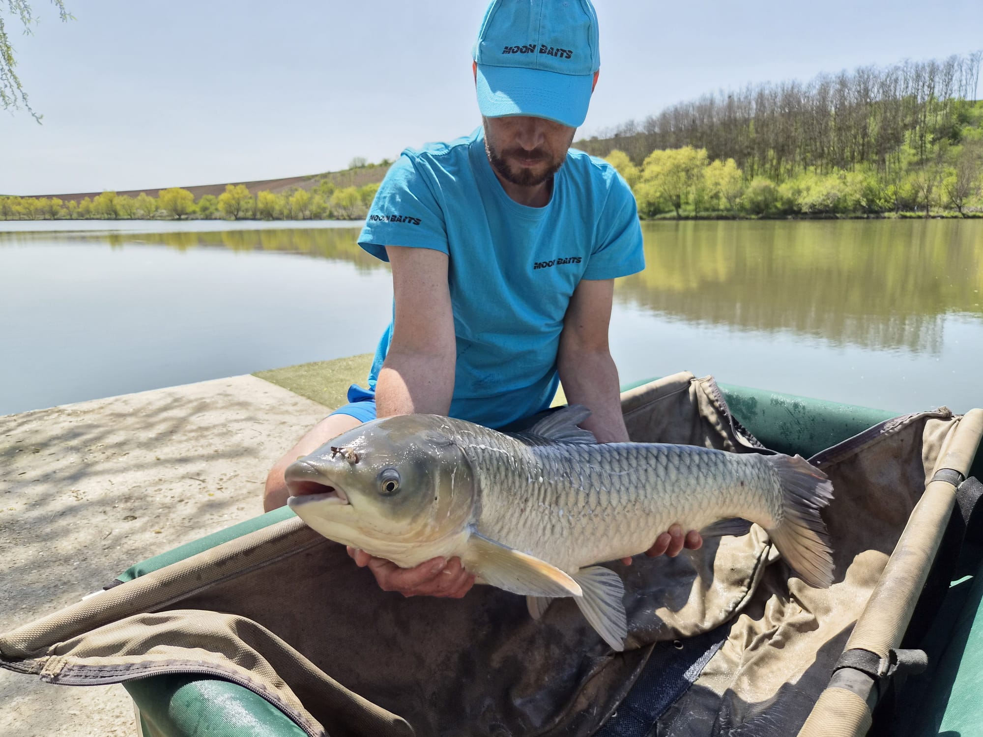 Fish Meal Concourse Moon Baits