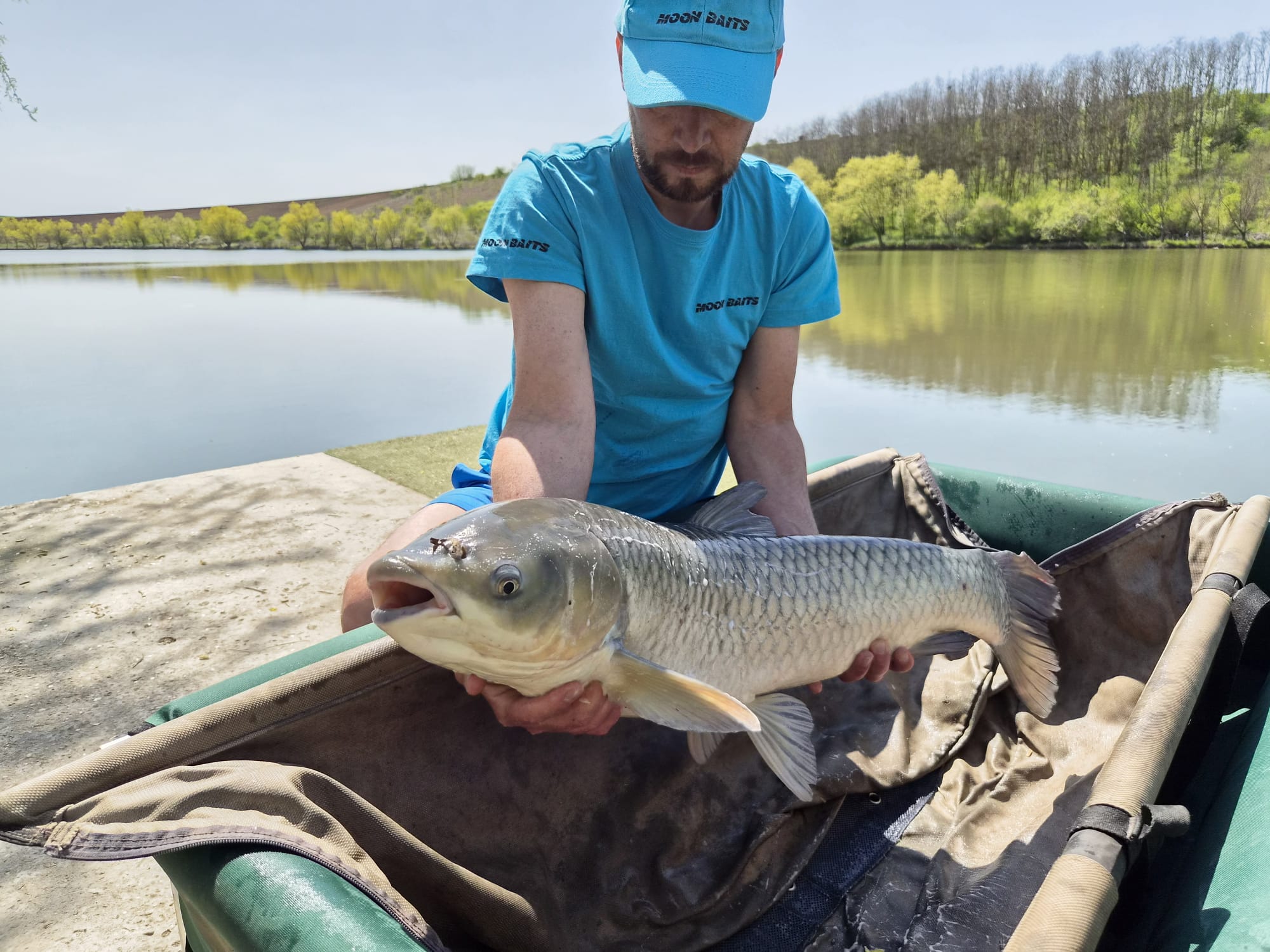 Fish Meal Concourse Moon Baits