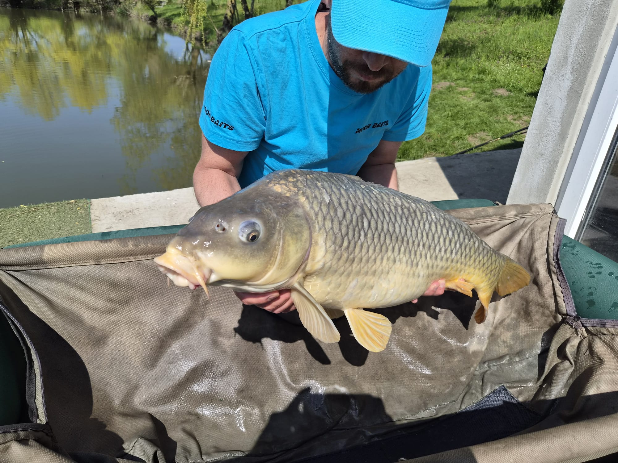 Fish Meal Concourse Moon Baits