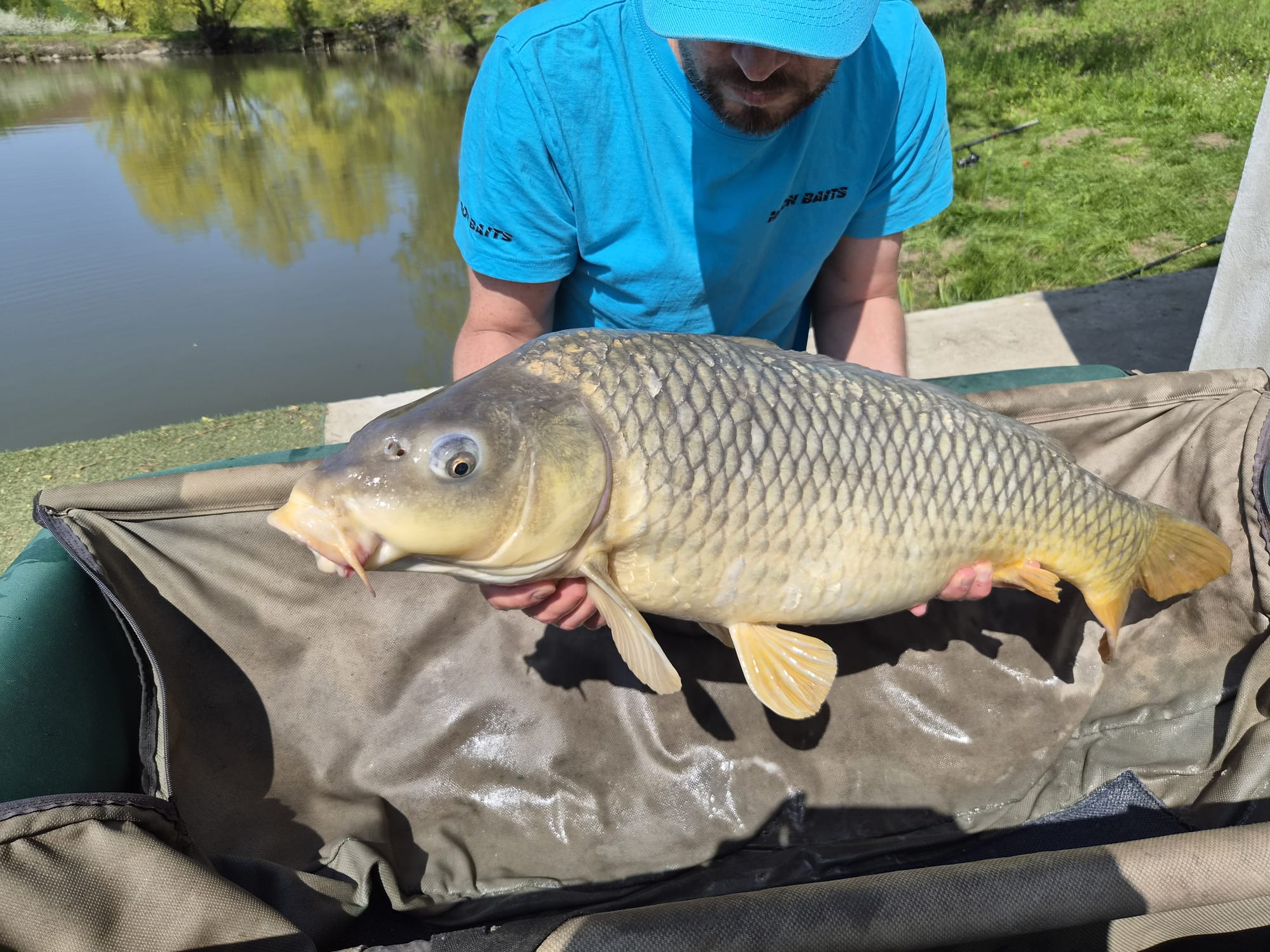 Fish Meal Concourse Moon Baits